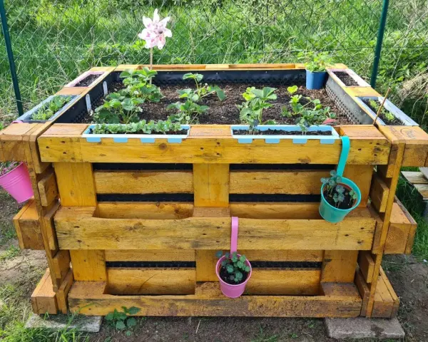 Ein schmales Hochbeet aus Paletten, bepflanzt mit Erdbeeren und Kräutern, geschmückt mit bunten Töpfen und einem bunten Windrad.
