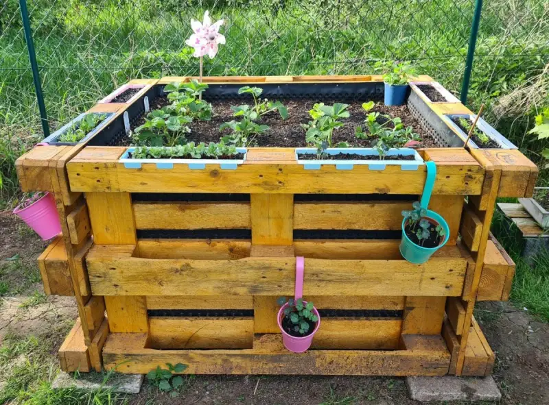 Ein schmales Hochbeet aus Paletten, bepflanzt mit Erdbeeren und Kräutern, geschmückt mit bunten Töpfen und einem bunten Windrad.